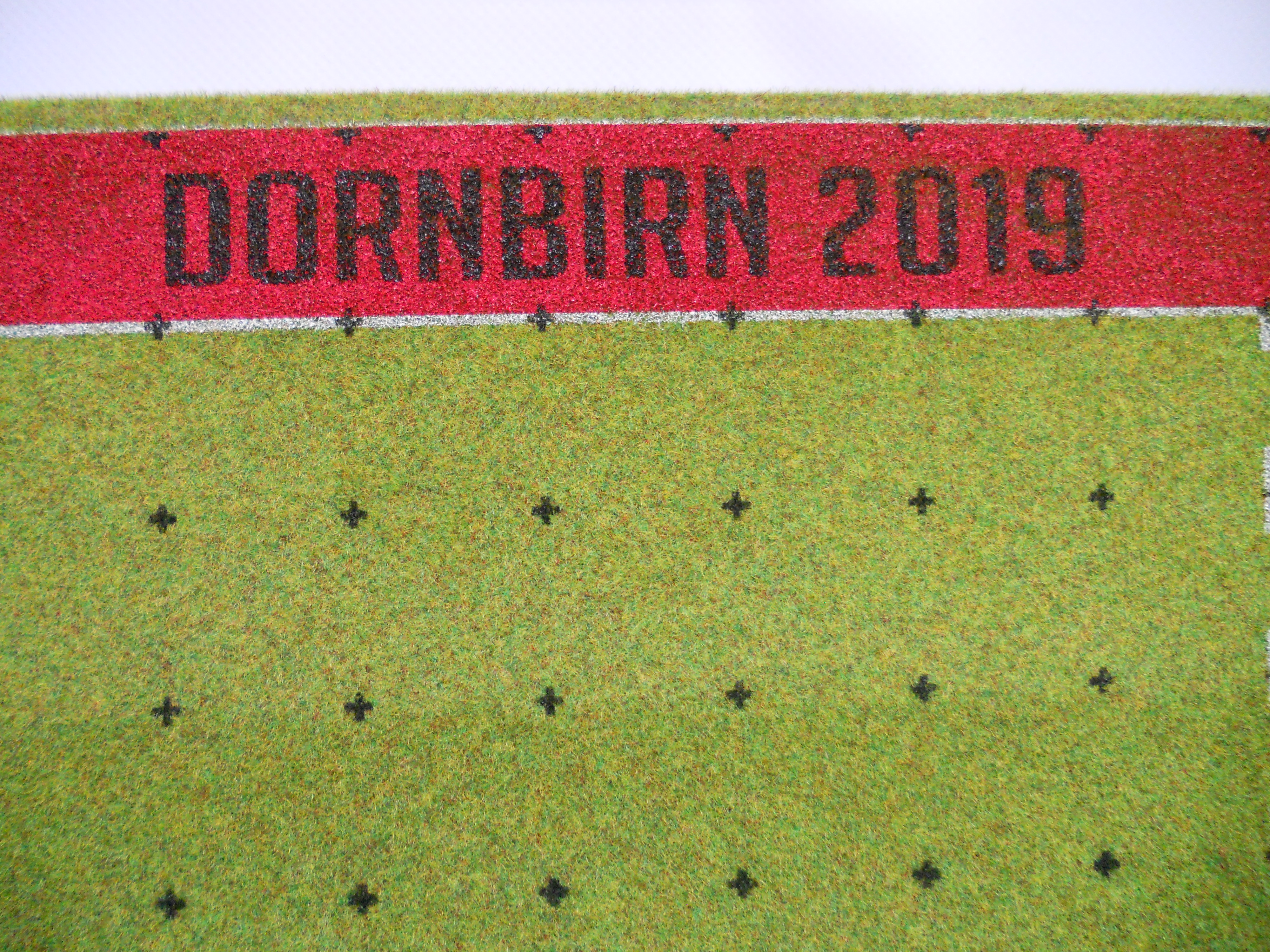 Endzone Dornbirn 2019
