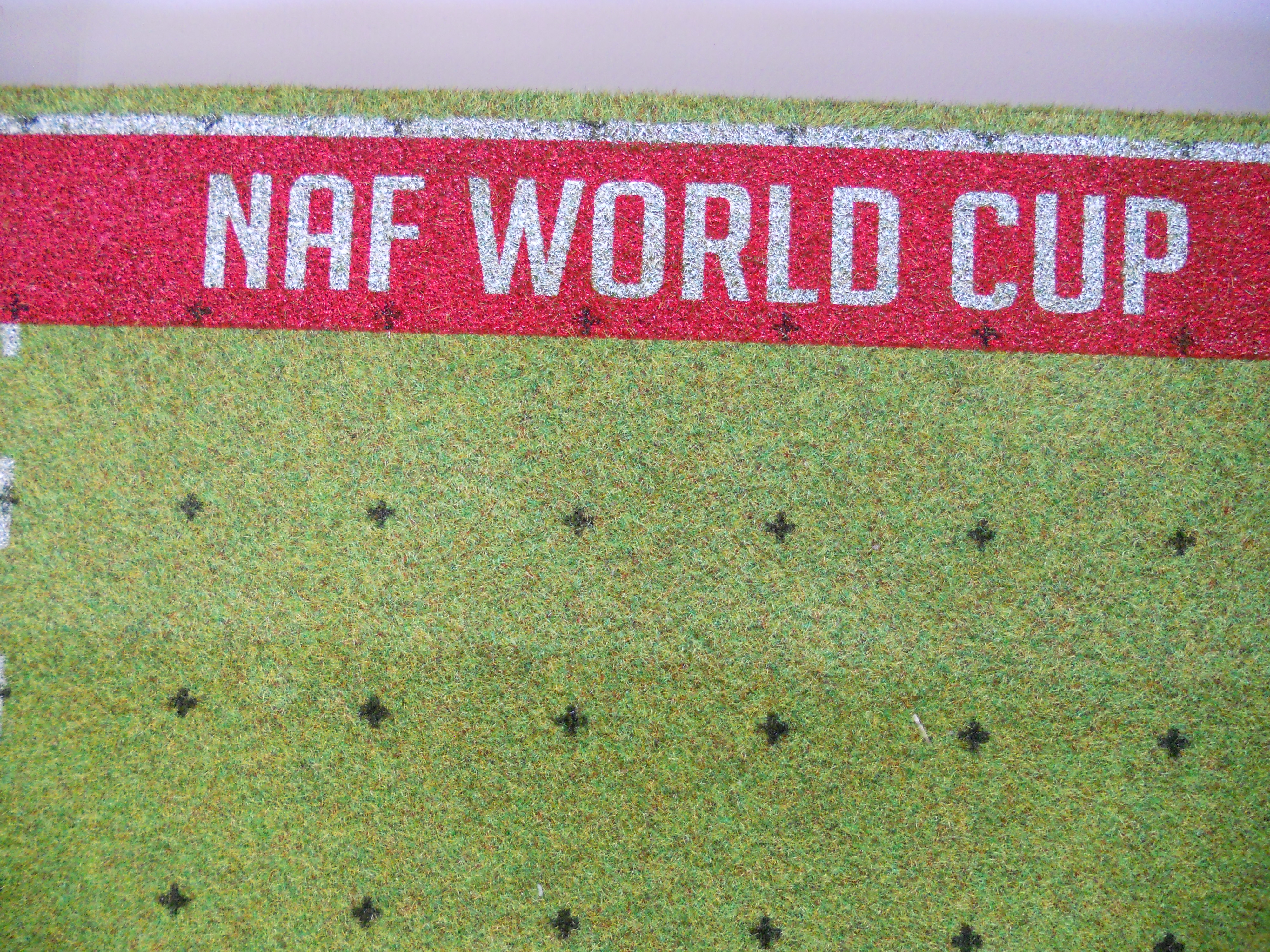 Endzone NAF World Cup